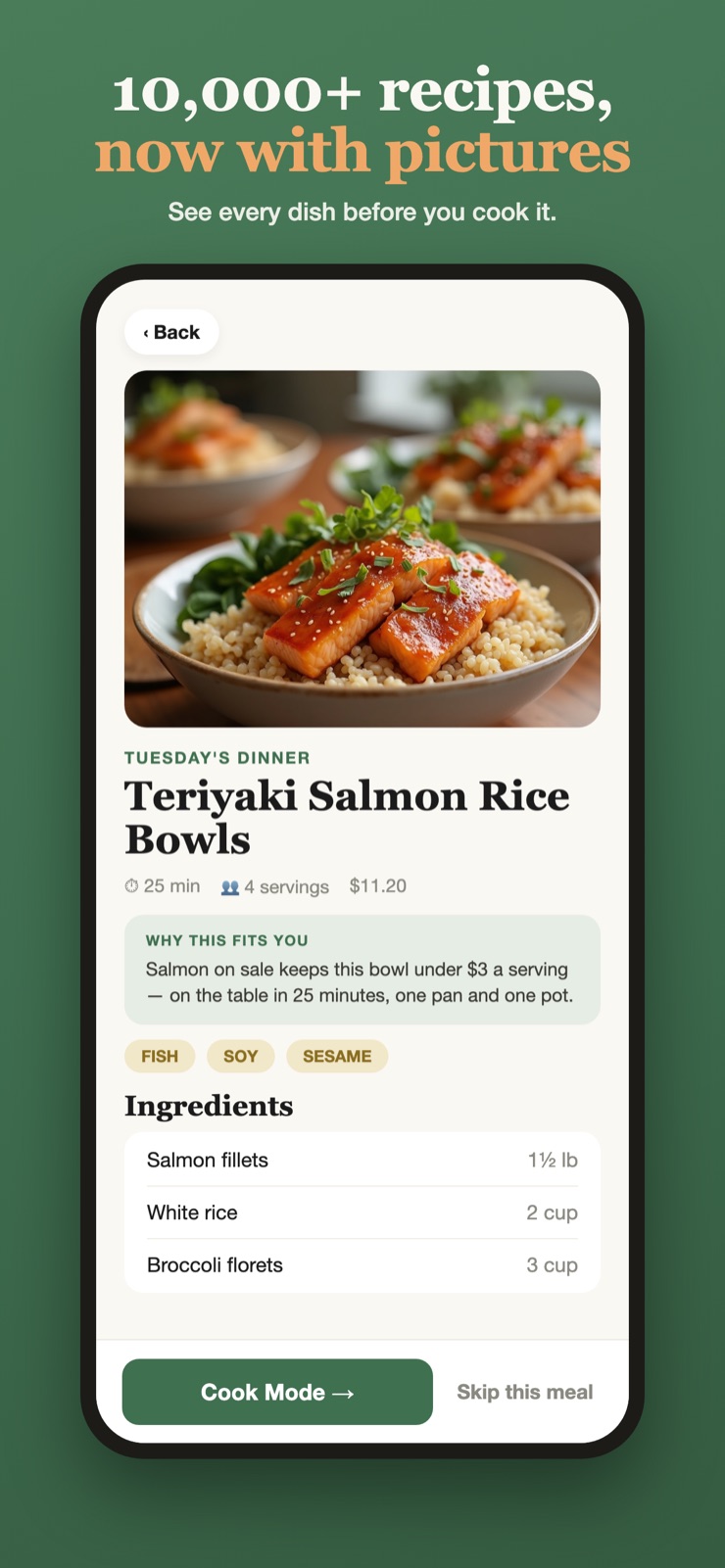 Recipe page with a picture of teriyaki salmon rice bowls — '10,000+ recipes, now with pictures.'